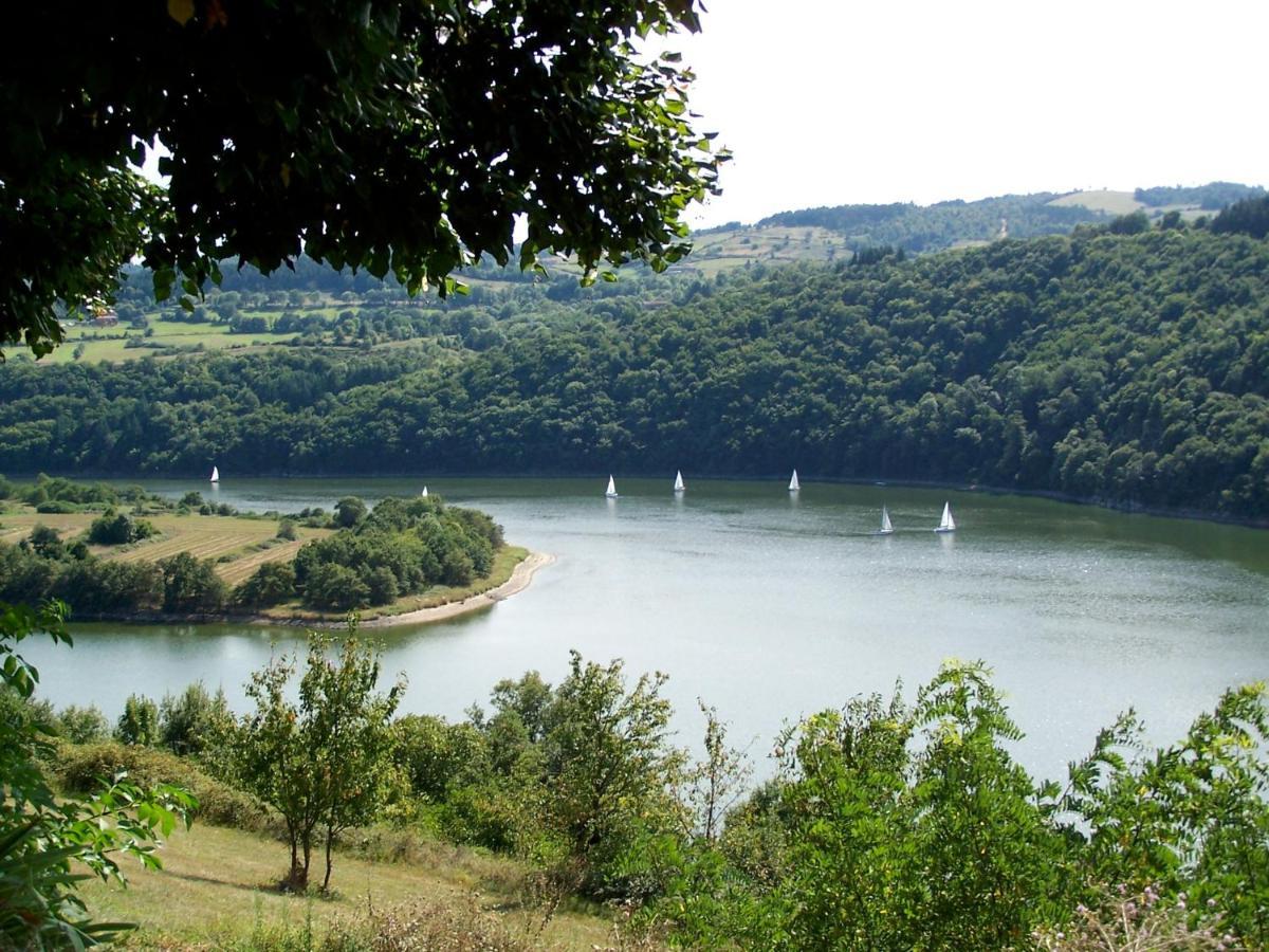 O Fil De L'Eau - Gite En Bord De Lac Saint-Jean-Saint-Maurice-sur-Loire エクステリア 写真
