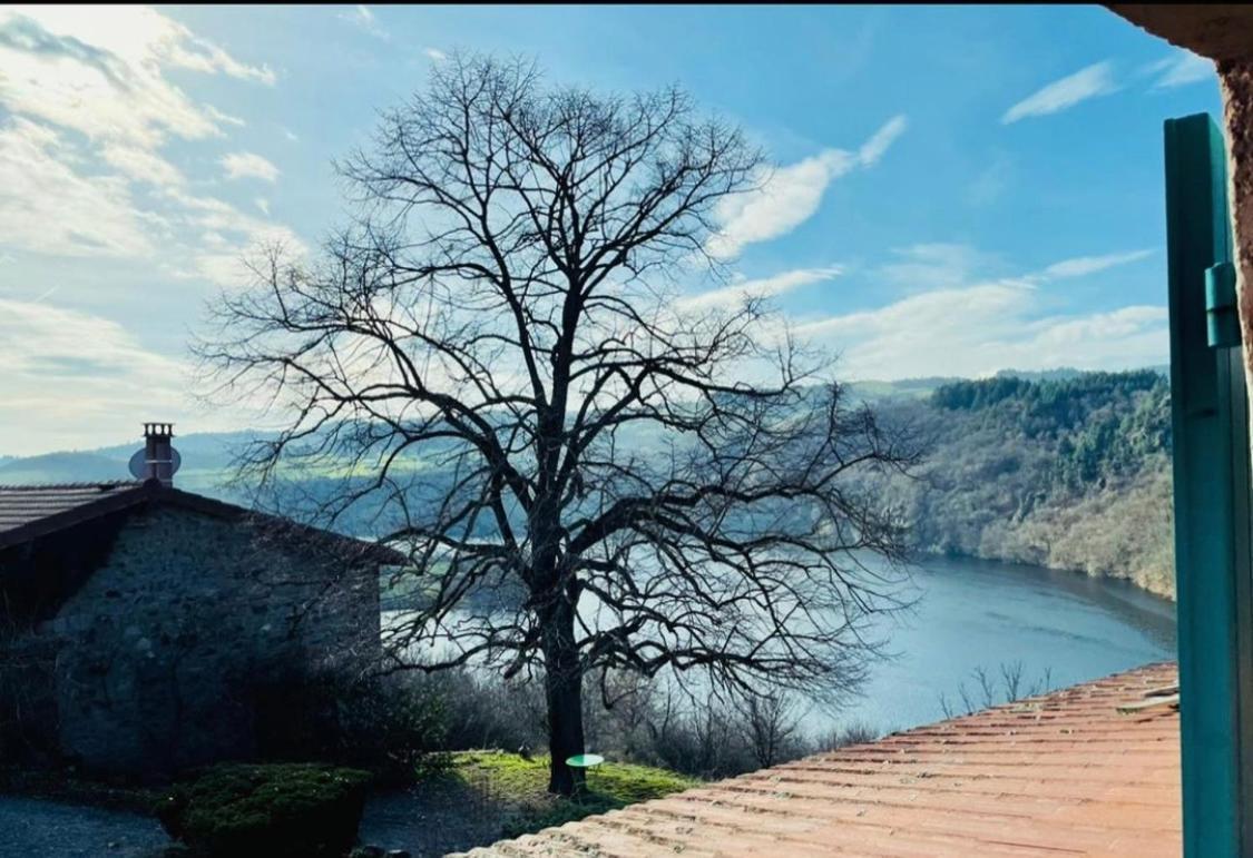 O Fil De L'Eau - Gite En Bord De Lac Saint-Jean-Saint-Maurice-sur-Loire エクステリア 写真